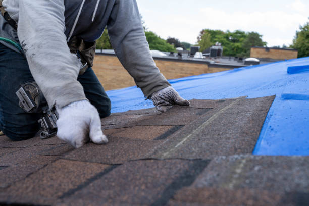 Residential Roof Replacement in Lake Summerset, IL