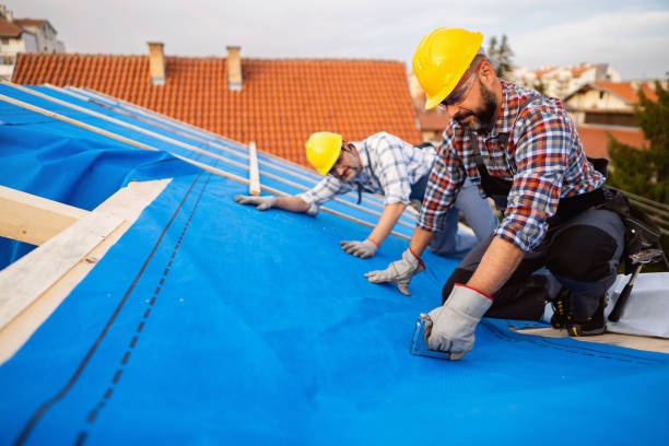 Best Storm Damage Roof Repair  in Lake Summerset, IL